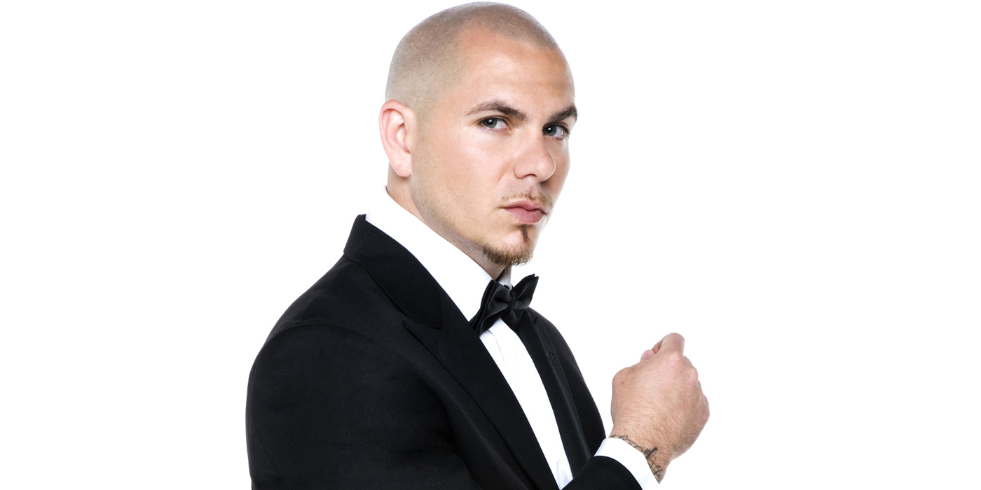 star-24-tv-pitbull